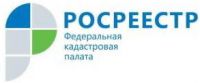 Кадастровая палата по Ивановской области запустит «сезонную» горячую линию по вопросам купли-продажи жилья
